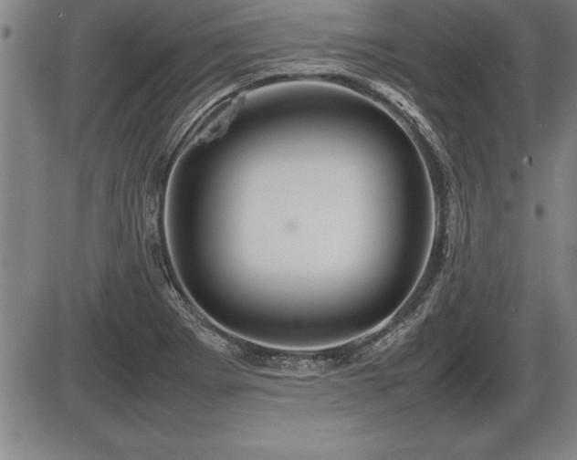 X0000086231273200703291320