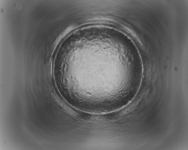 X0000086231275200703291320