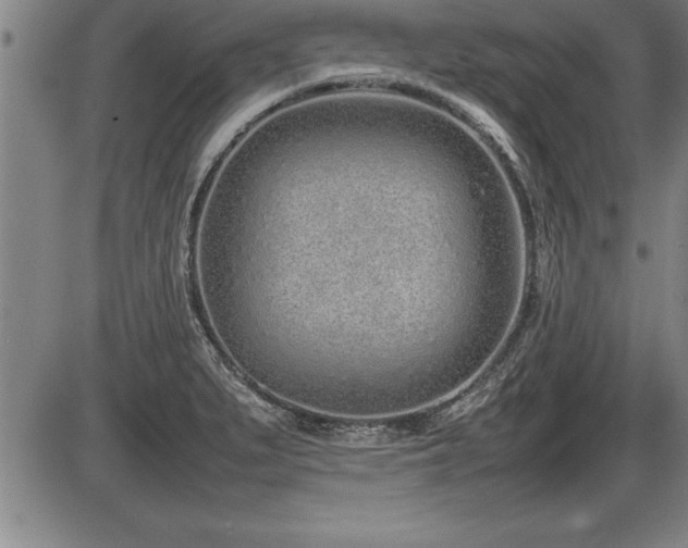X0000086231279200703291320