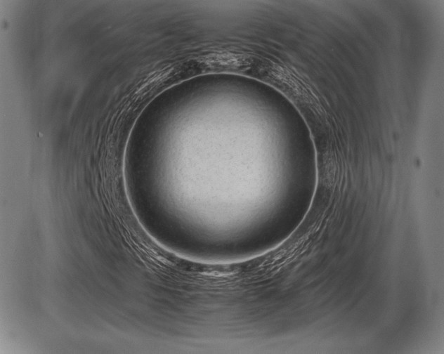 X0000086231297200703291319
