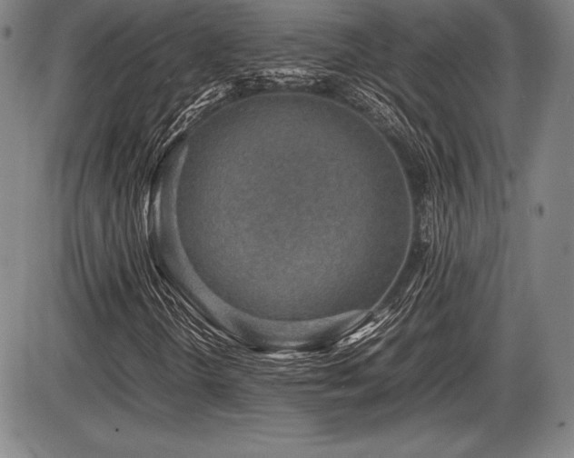 X0000086231298200703291319
