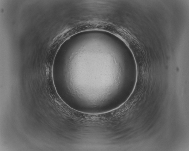 X0000086231302200703291319