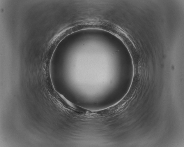 X0000086231304200703291319