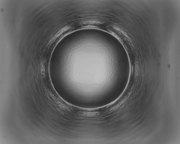 X0000086231305200703291319