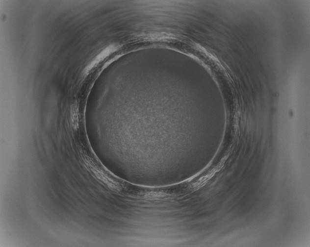 X0000086231306200703291319