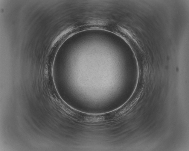 X0000086231307200703291319