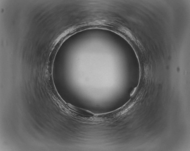 X0000086231308200703291319