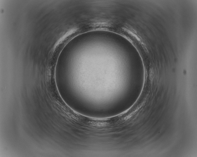 X0000086231309200703291319