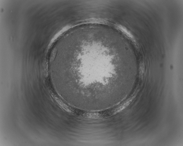 X0000086231310200703291319