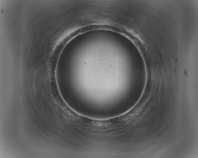 X0000086231311200703291319