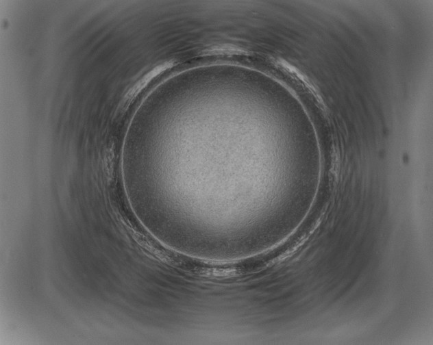 X0000086231313200703291319