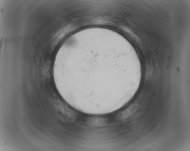 X0000086231314200703291319