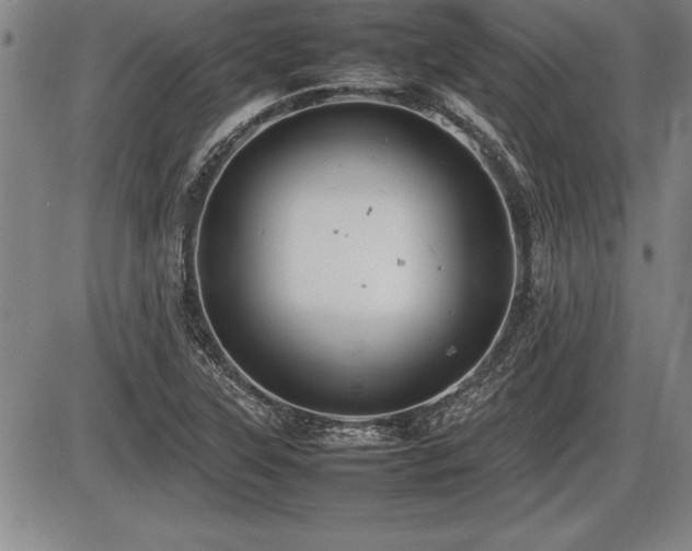X0000086231315200703291319