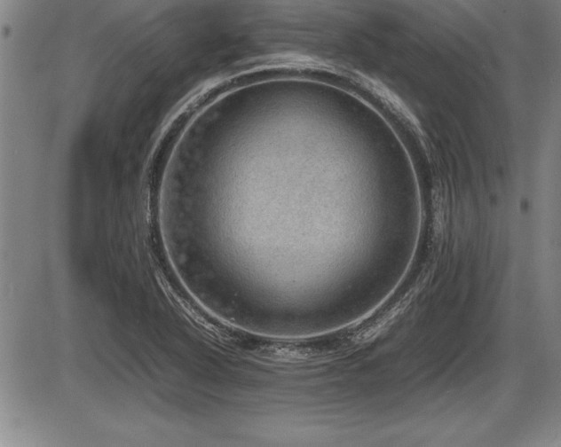 X0000086231318200703291319