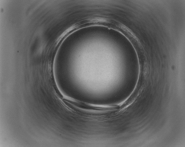 X0000086231321200703291319