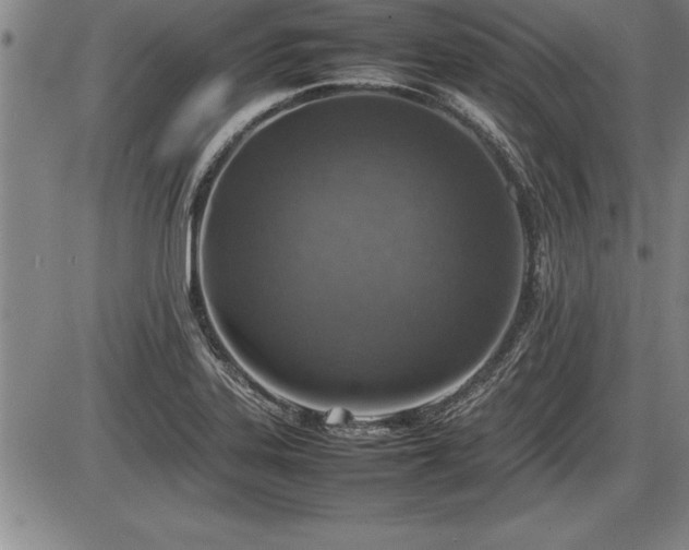 X0000086231323200703291319