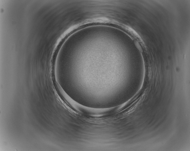 X0000086231326200703291319