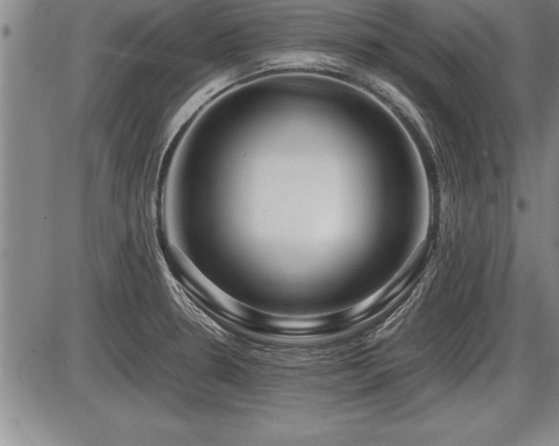 X0000086231330200703291319