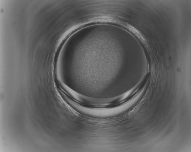 X0000086231334200703291319