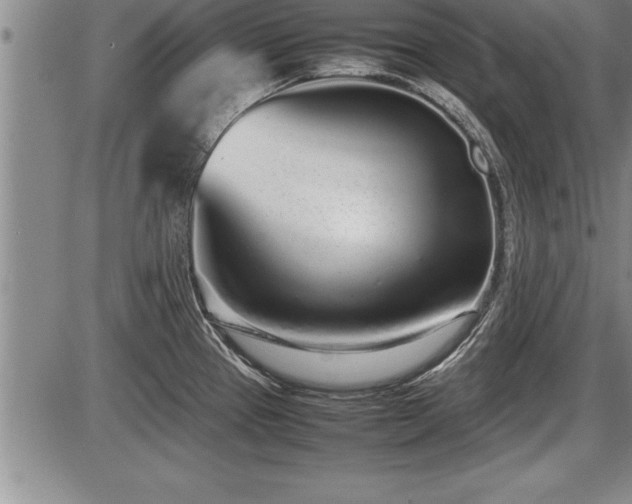 X0000086231337200703291320