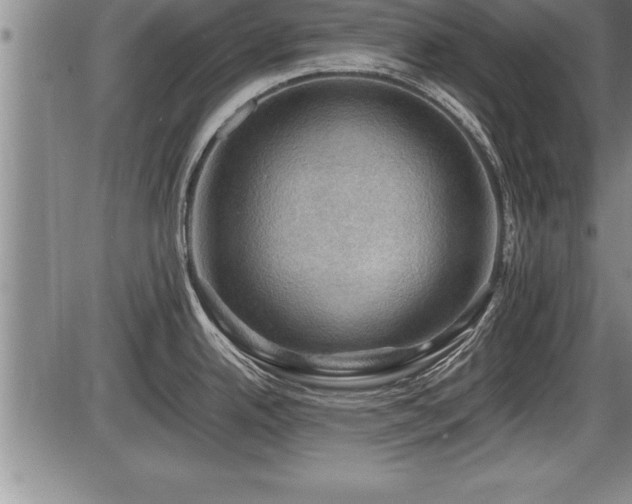 X0000086231342200703291320