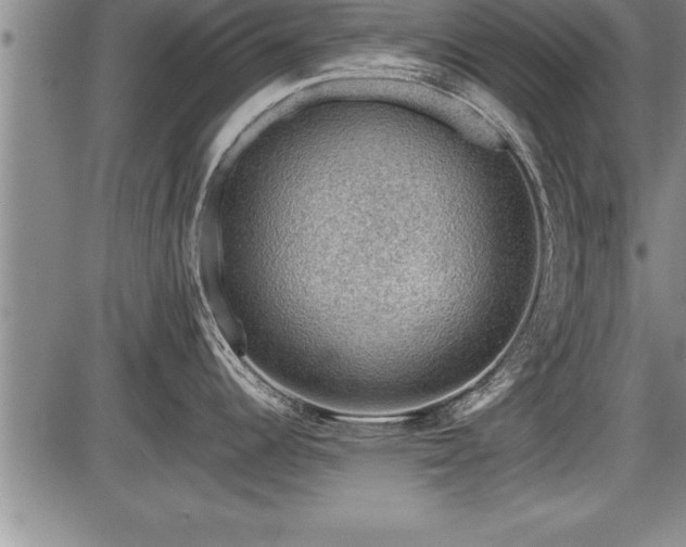 X0000086231344200703291320