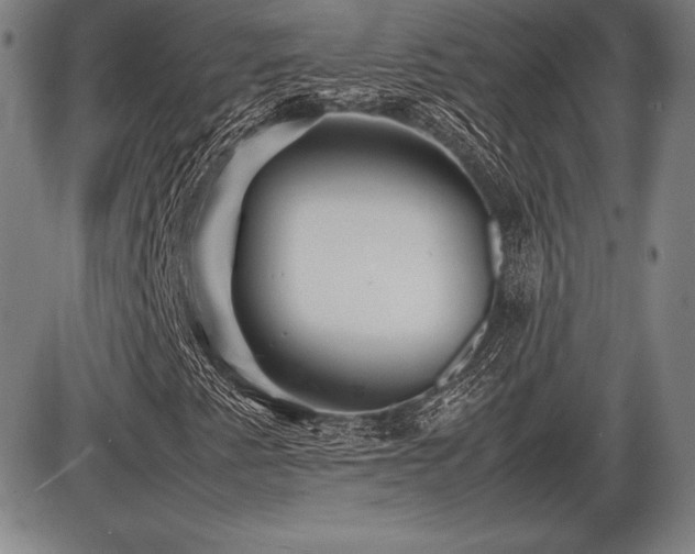 X0000086231345200703291319