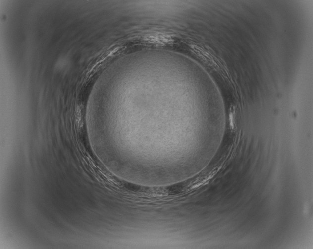 X0000086231347200703291319
