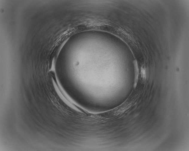 X0000086231348200703291319