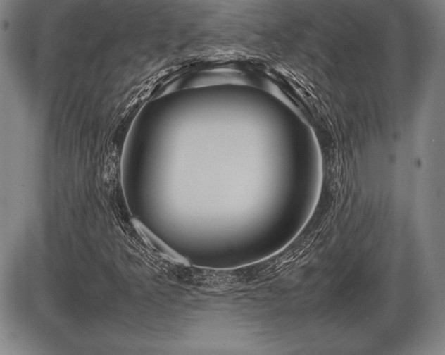 X0000086231349200703291319