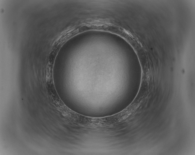 X0000086231350200703291319