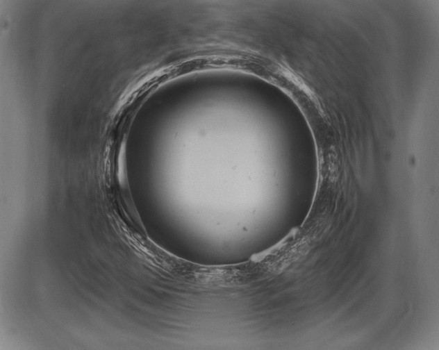 X0000086231352200703291319