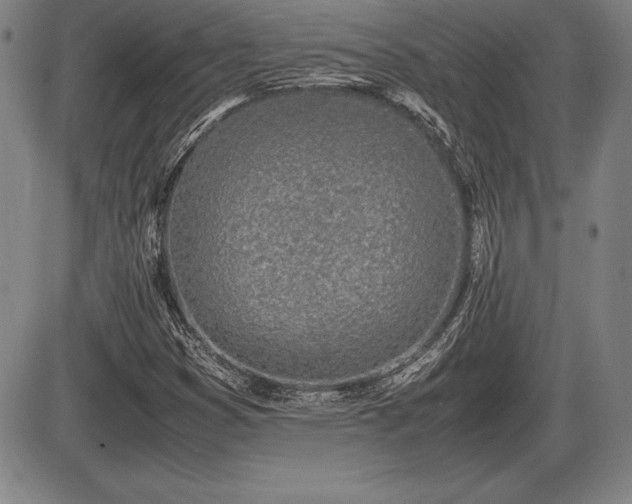 X0000086231353200703291319