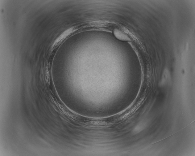 X0000086231354200703291319