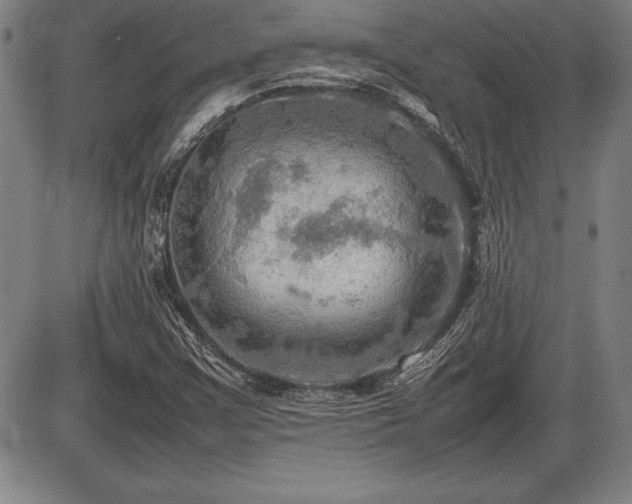 X0000086231355200703291319