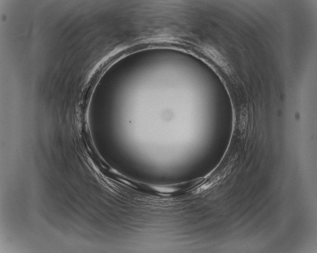 X0000086231356200703291319