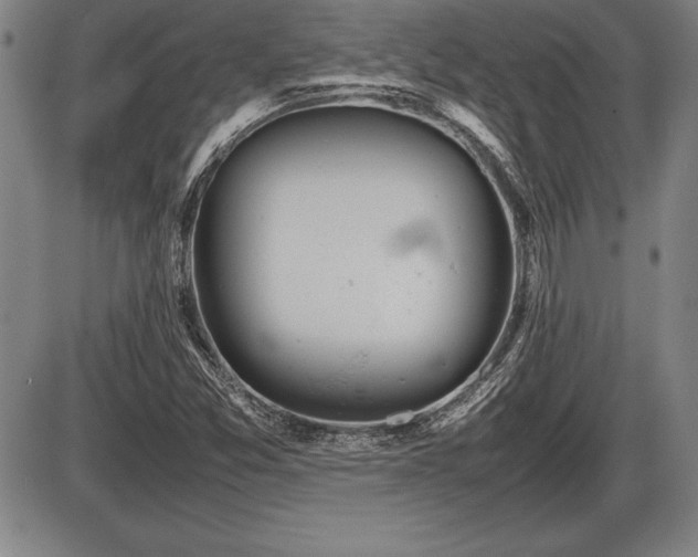 X0000086231357200703291319