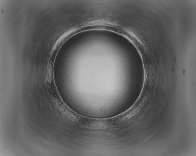 X0000086231358200703291319