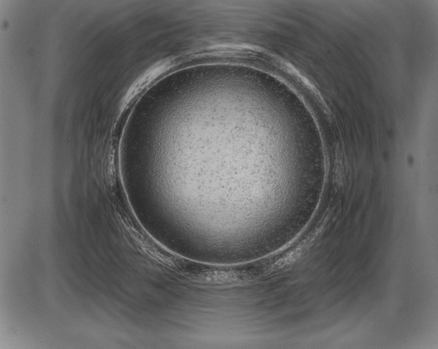 X0000086231362200703291319