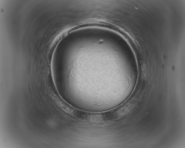X0000086231363200703291319