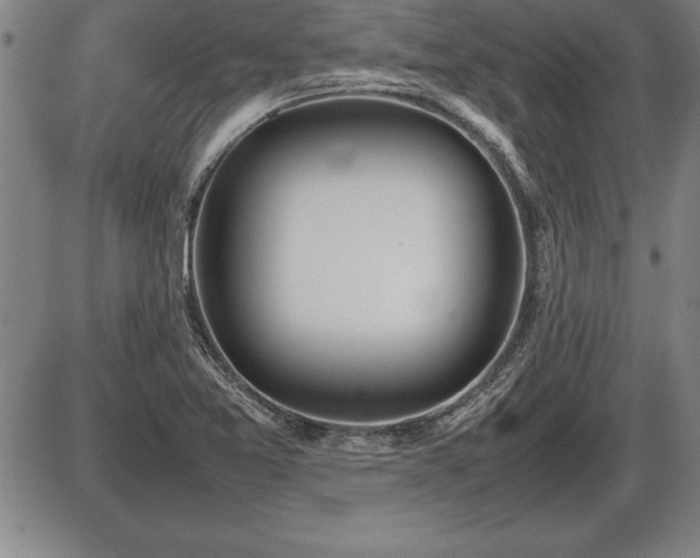 X0000086231365200703291319