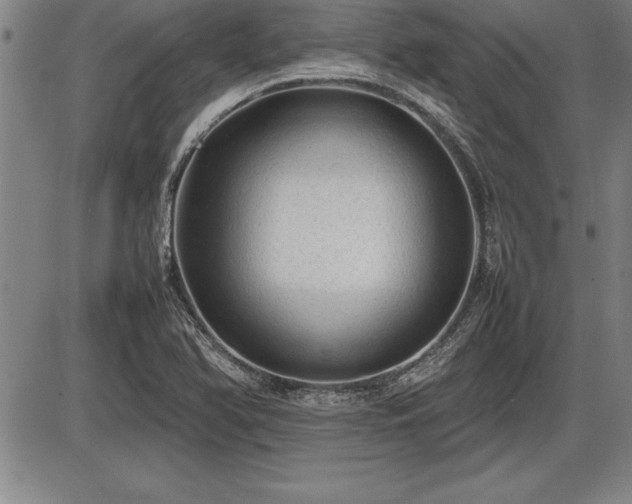 X0000086231366200703291318