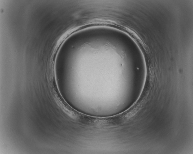 X0000086231371200703291318