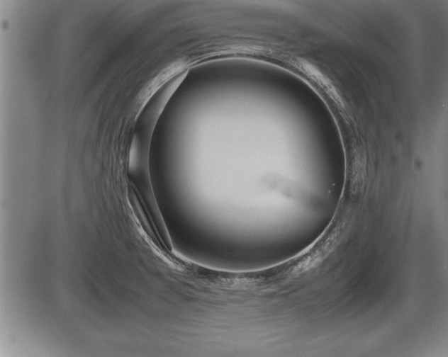 X0000086231377200703291318