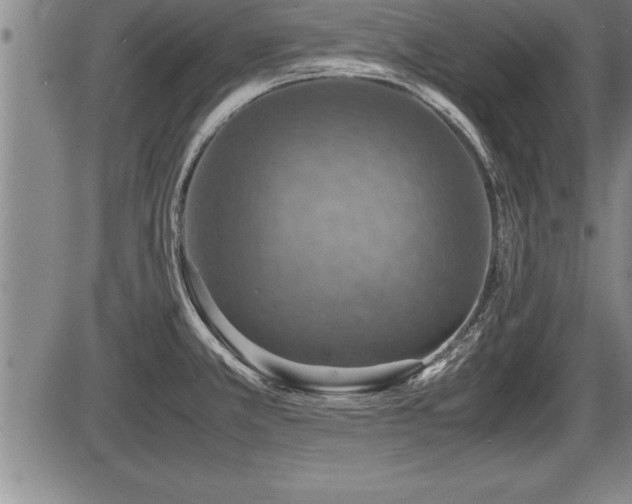 X0000086231381200703291318