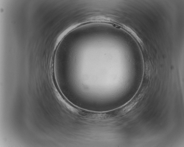 X0000086231387200703291318