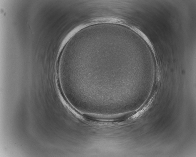 X0000086231389200703291318