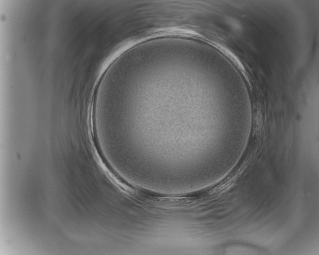 X0000086231391200703291318