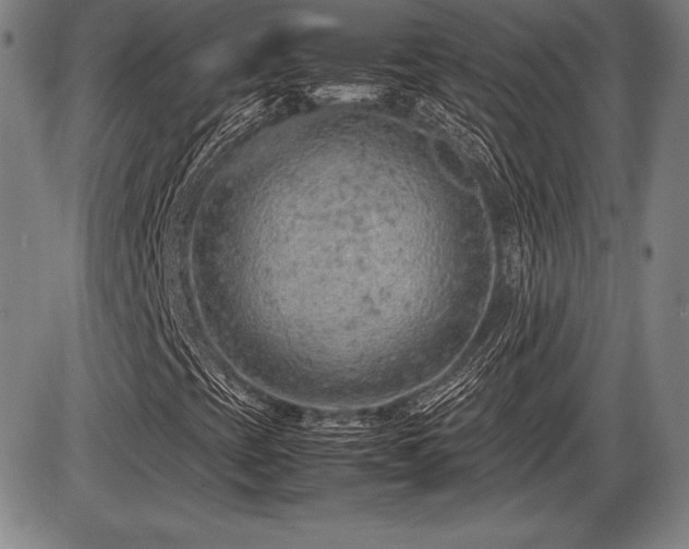 X0000086231393200703291317
