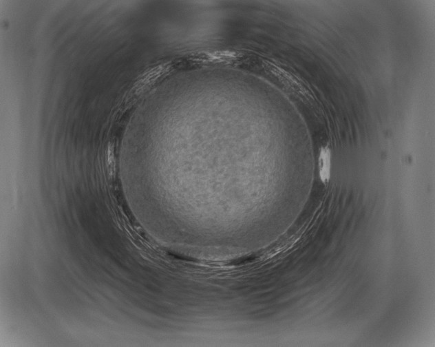 X0000086231395200703291317